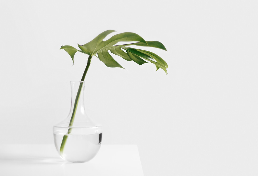 Green Plant