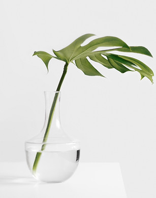 Growth Bookkeeping Pricing Tantelo 