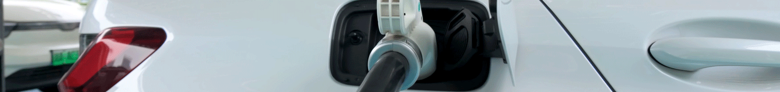 CE.gif