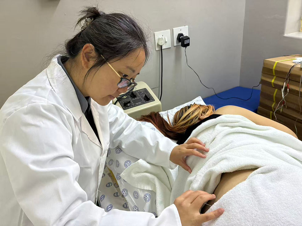 Bringing Traditional Chinese Medicine to the community: The University of the Western Cape Confucius Institute for Chinese Medicine supports the integration of TCM into primary public healthcare