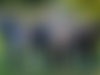 A Snapshot of Tradition - Team Photo by Traditional Chinese Medicine at the Confucius Institute, UWC