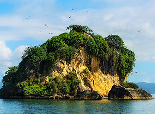 Dominican_Republic_Los_Haitises_birds_is