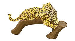 Seafood Watch - Jaguar