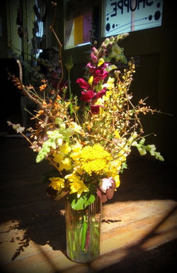 23502_114818881878024_344528_n