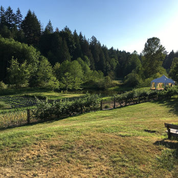 Rolling farm fields surrounded by forest