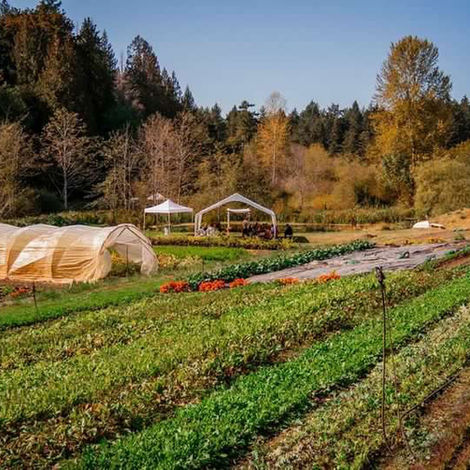 An overview of farm fields with greenhouses and a farm house