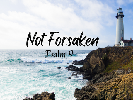 Not Forsaken
