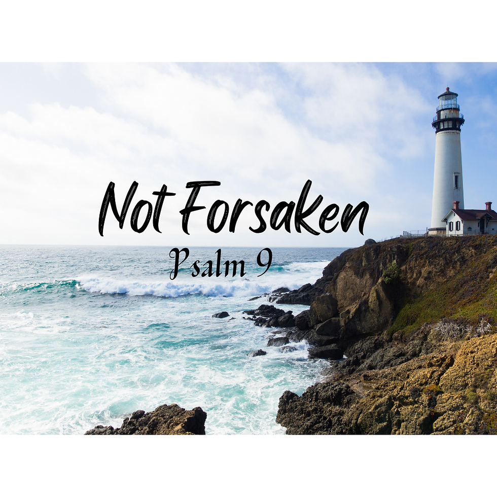 Not Forsaken