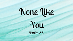 None Like You
