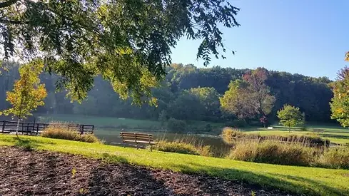 wisconsin land area .webp