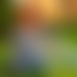 Maintaining Healthy Vision as We Age