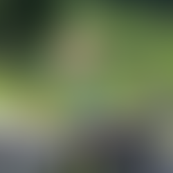 Why Kids Need Eye Exams