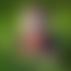 Hey Kids, Your Glasses Are Awesome!