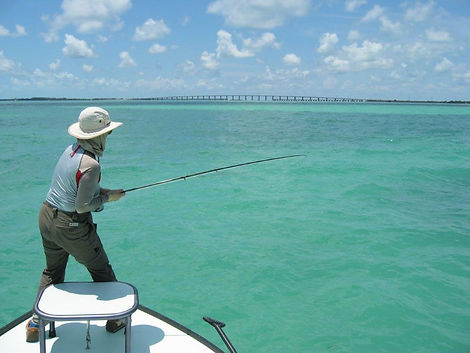 Tarpon 2003 (4).jpg