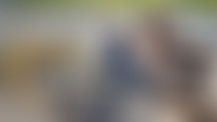 Spenden und Wohltätigkeit