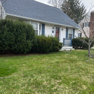 Tree Trimming and Landscaping