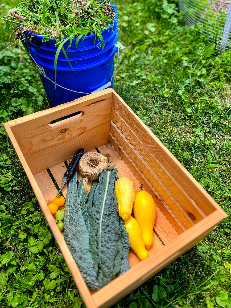 small but delicious harvest