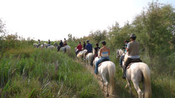 randonnée à cheval Camargue