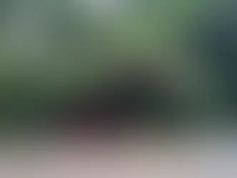 Defesa civil é acionada para vistoriar parque que teve erosão agravada por chuvas em SP
