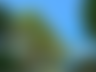 Esclarecimentos sobre o encerramento da atividade do café na Praça Augusto de Toledo Barros.