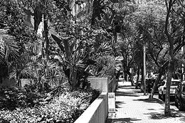 Landscaped Street_edited.jpg