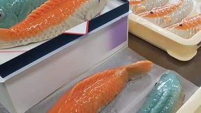 生鯉