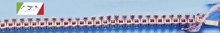FONI101B