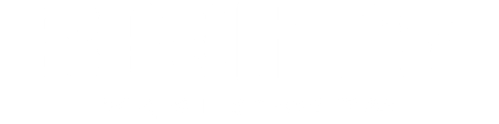 Berlins Logo website.png