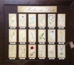 12 L'herbier des Brets 95x81