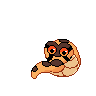 slinder transparent.gif