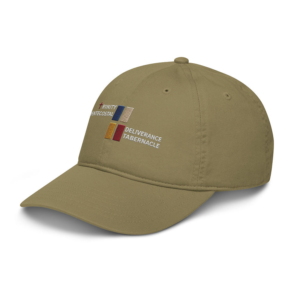 Thumbnail: Organic dad hat