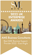May22247-SME NEWS UK Enterprise Awards 2022 Winners Logo.png