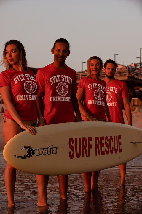 Sylt State University