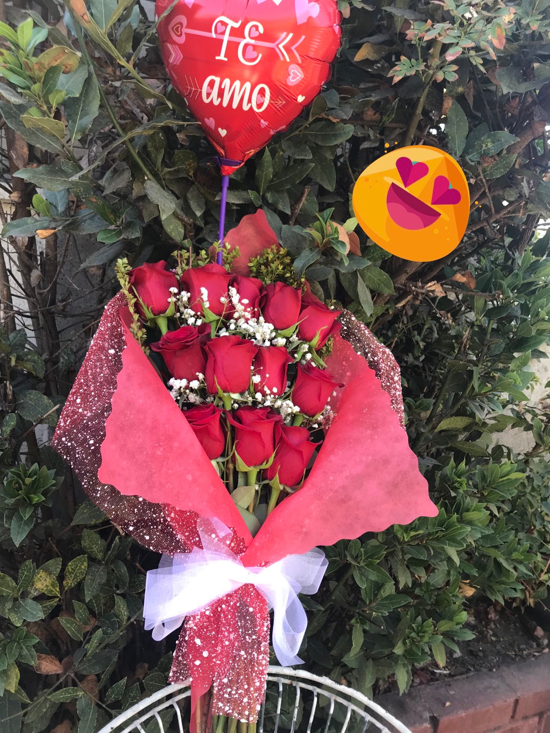 12 Rosas 