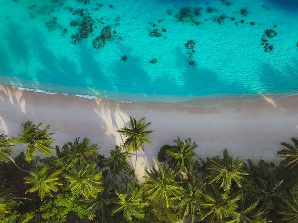 DJI_20230823111756_0219_D.JPG