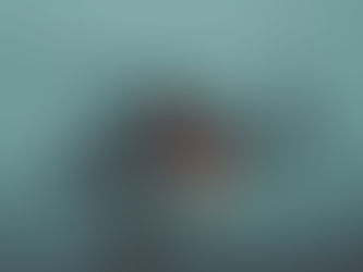 TBI, PTSD, and White Matter Aging in Veterans