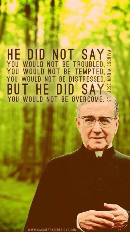 https://www.pinterest.com/pin/334321972322482084/