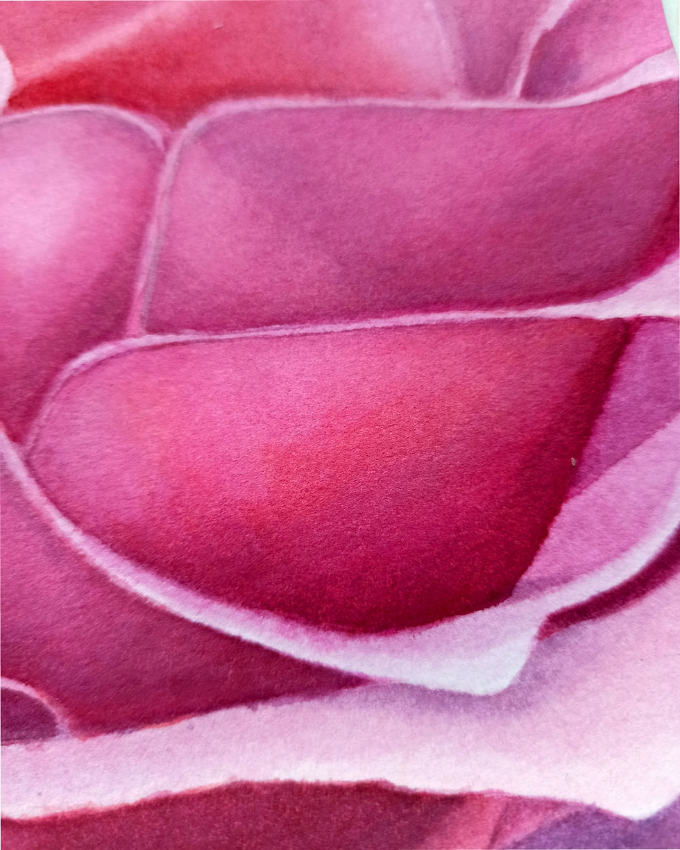 Miniaturbild: Piece of rose