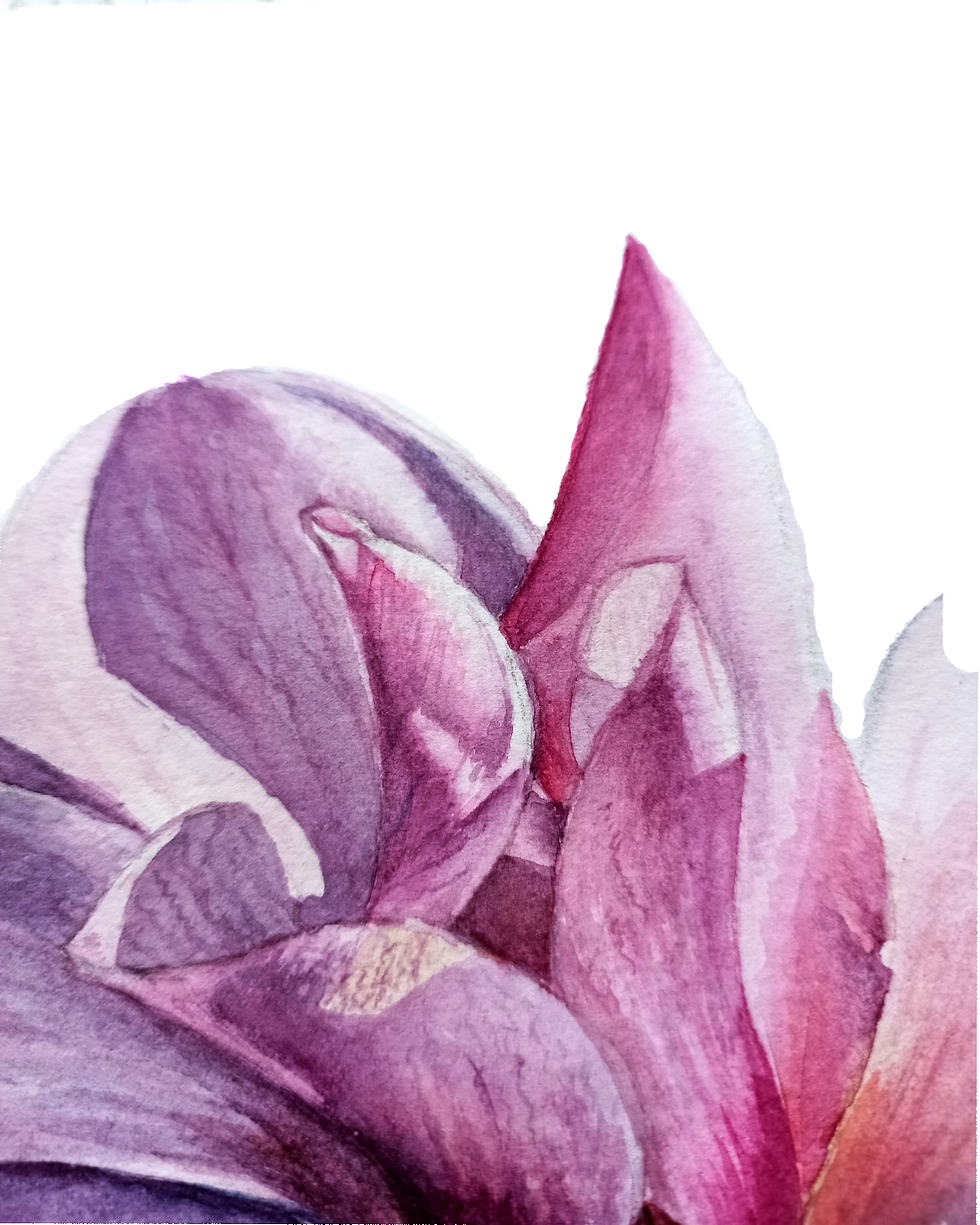 Miniature : Magnolia in pink