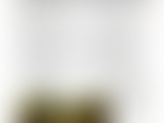 WHAT USED TO BE THERE