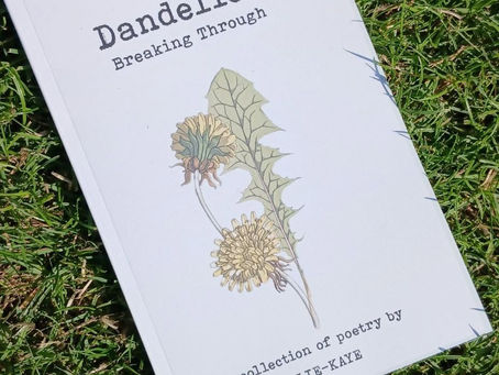 Dandelions