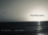 IMG_5391.jpeg