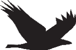 Shidonna Raven Logo Bird_edited.png