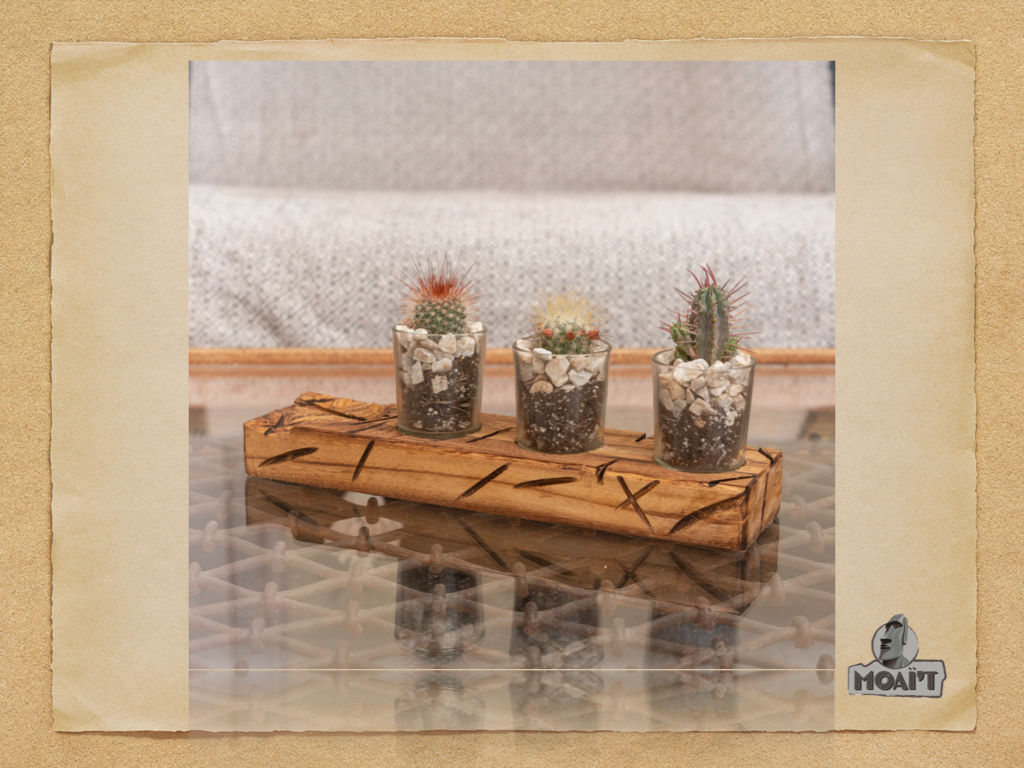 Maoi't Cactus