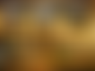 stop.drop.rewind Returns to the PNW!