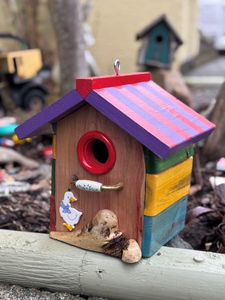 Victoria BC
Local Business
Birdhouse
Bird House