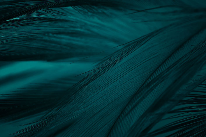 AdobeStock_321799138.jpeg