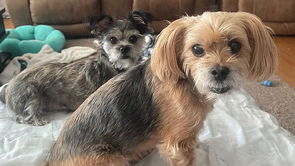 Dood and Bax on couch profile.jpeg