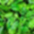 Screenshot_20211228-231753_Instagram.jpg