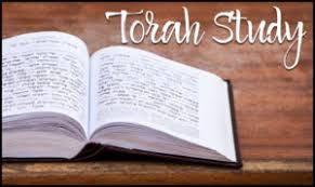 Torah Study.jpeg